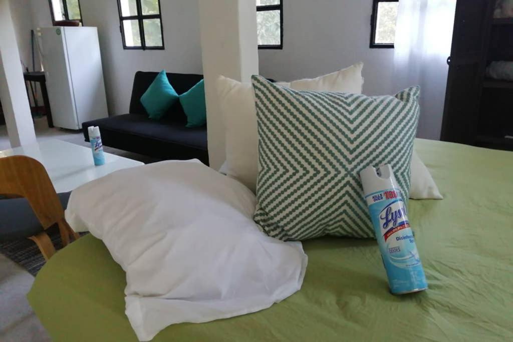 Apartamento Equipado Tipo Loft Apartment El Remate Ngoại thất bức ảnh
